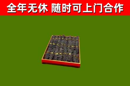 屯溪回收海参